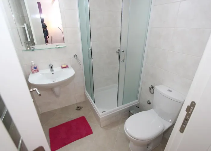 Aleksandar - Stan Na Dan Belvil Novi