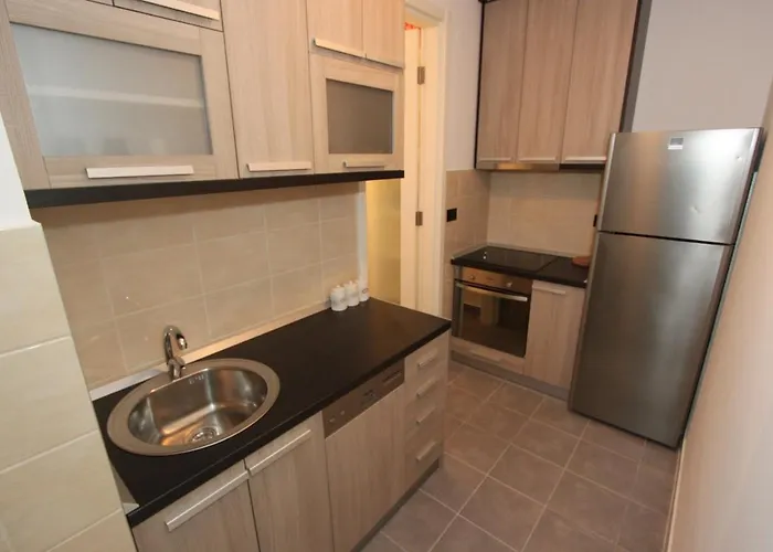 Aleksandar - Stan Na Dan Belvil Novi *